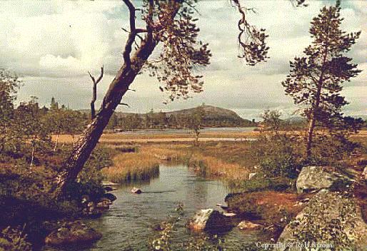 Rogen in the region Hrjedalen, 1974